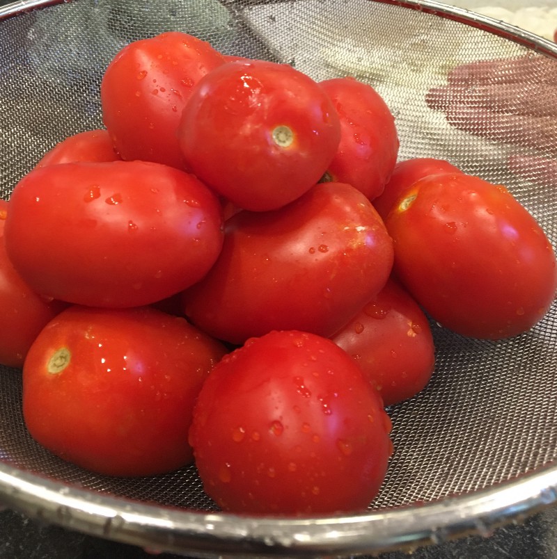 tomatoes.jpeg